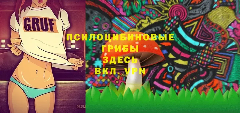 Псилоцибиновые грибы Psilocybe  где можно купить наркотик  Заинск 